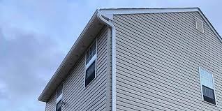 Professional Siding in Davis Junction, IL